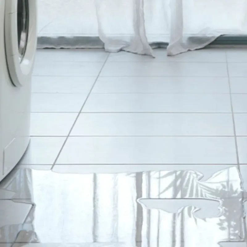 Appliance Leak Cleanup in Troy, IL