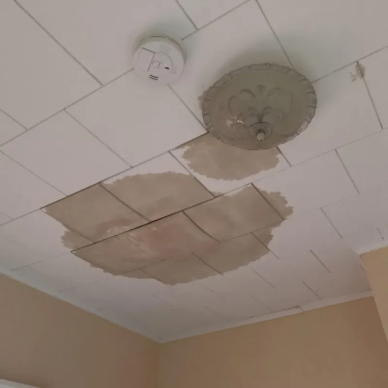 Ceiling Water Damage Repair in Troy, IL