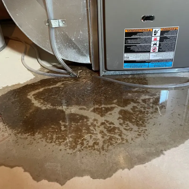 Pipe Burst and Leak Restoration in Troy, IL