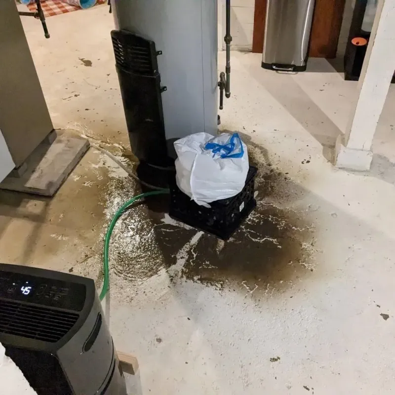 Sewage Backup Cleanup Service in Troy, IL